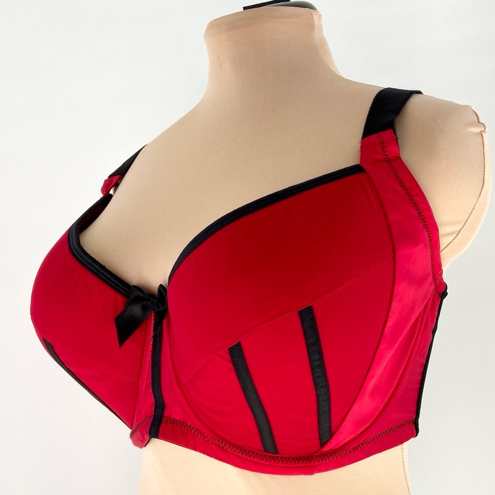 Parfait by Affinitas Charlotte Padded Bra – Red & Black Satin | Size 36HH